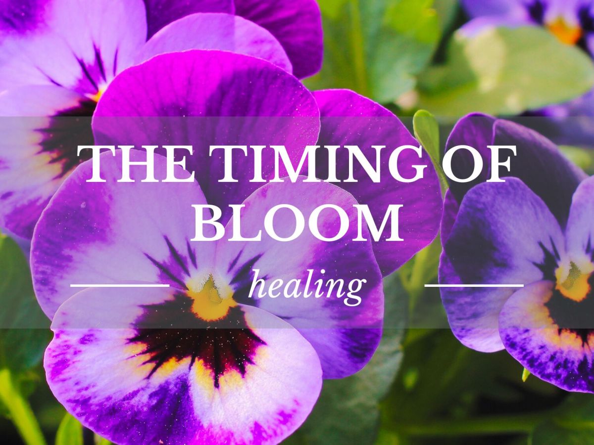 The Timing of Bloom
