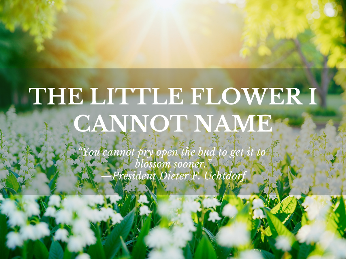 The Little Flower I Cannot Name