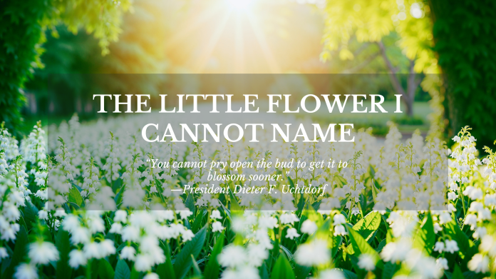 The Little Flower I Cannot Name
